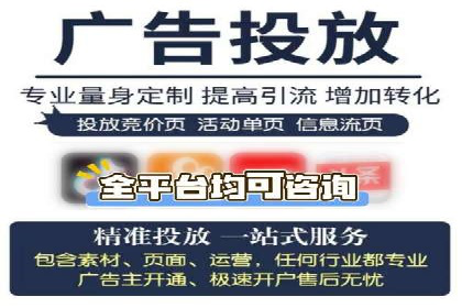 SEM服务公司经典案例集锦